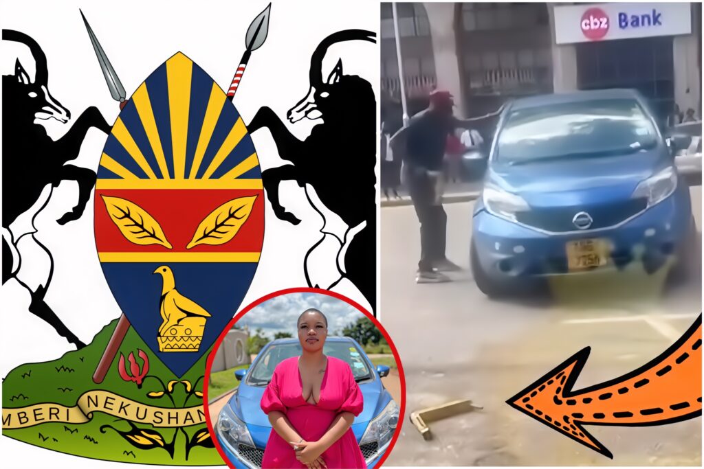 City of Harare Responds to Malloti’s Viral Clamp-Breaking Video, Launches Investigation